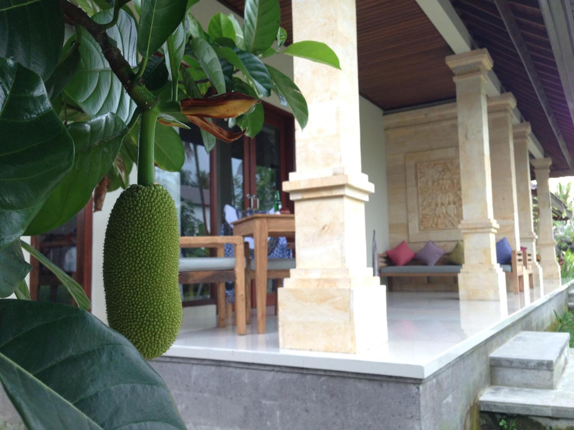 Masia Villa Ubud Kültér fotó