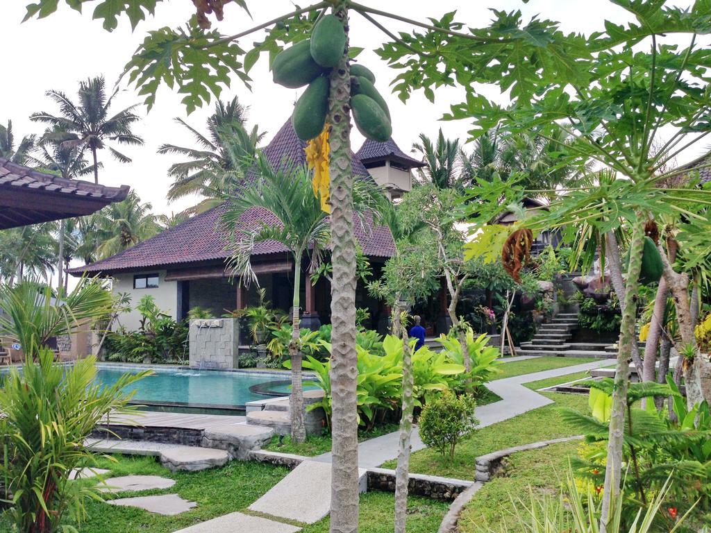 Masia Villa Ubud Kültér fotó