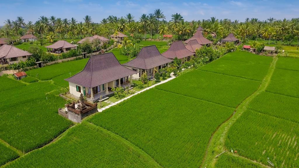 Masia Villa Ubud Kültér fotó